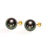 SOL 18K Tahitian Gold Earring